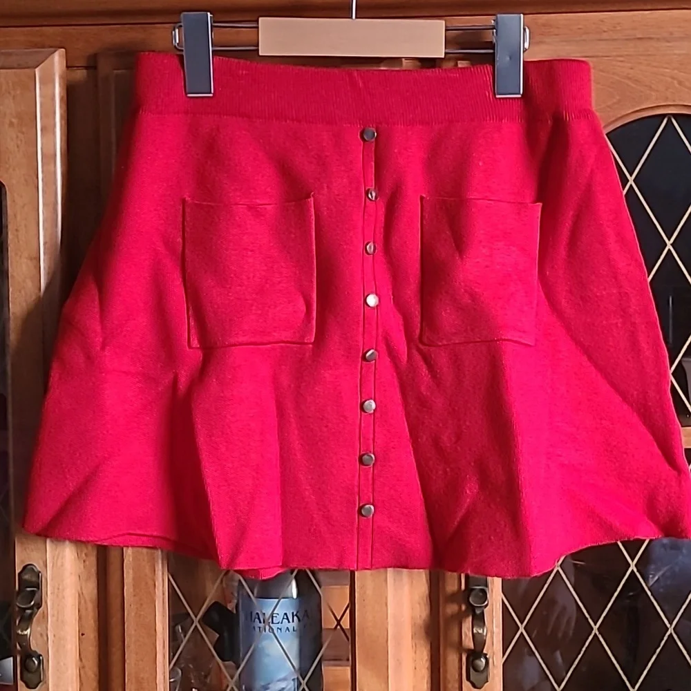 Mini Skirt - Picture 1 of 6
